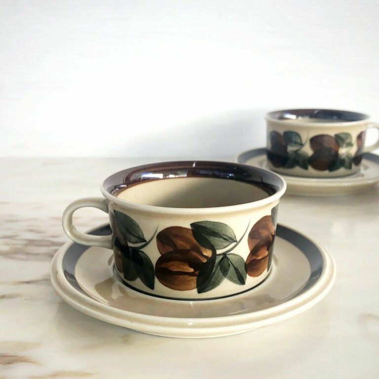 Read more about the article Arabia Finland Ruija Troubadour Flat Cup and Saucer Fruit Leaves MCM Ceramic