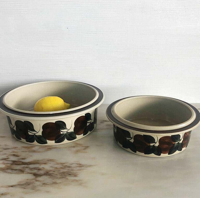 Read more about the article Arabia Finland Ruija Troubadour 7″ and 9″ Round Vegetable Serving Bowls Set (2 Pc)