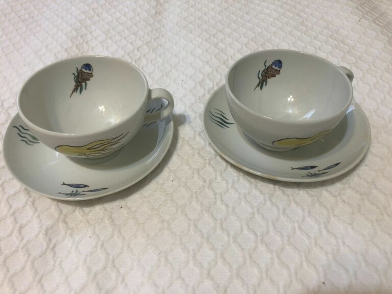 Read more about the article Vintage ARABIA Finland Aquarium footed cup and saucer Set Of 2
