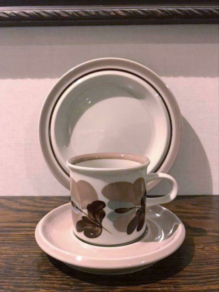 Read more about the article Rare Arbia Koralli Cup Saucer Plate 10