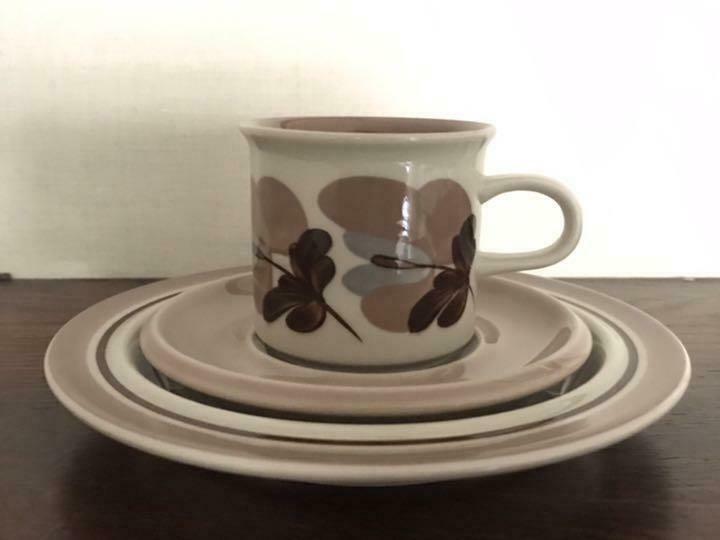 Read more about the article Rare Arbia Koralli Cup Saucer Plate
