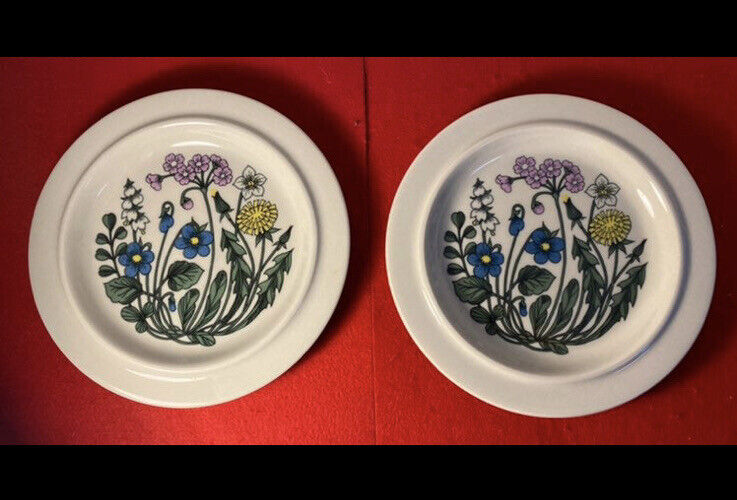 Read more about the article (2) ARABIA Finland “FLORA” Ceramic 8” Dinner Plates