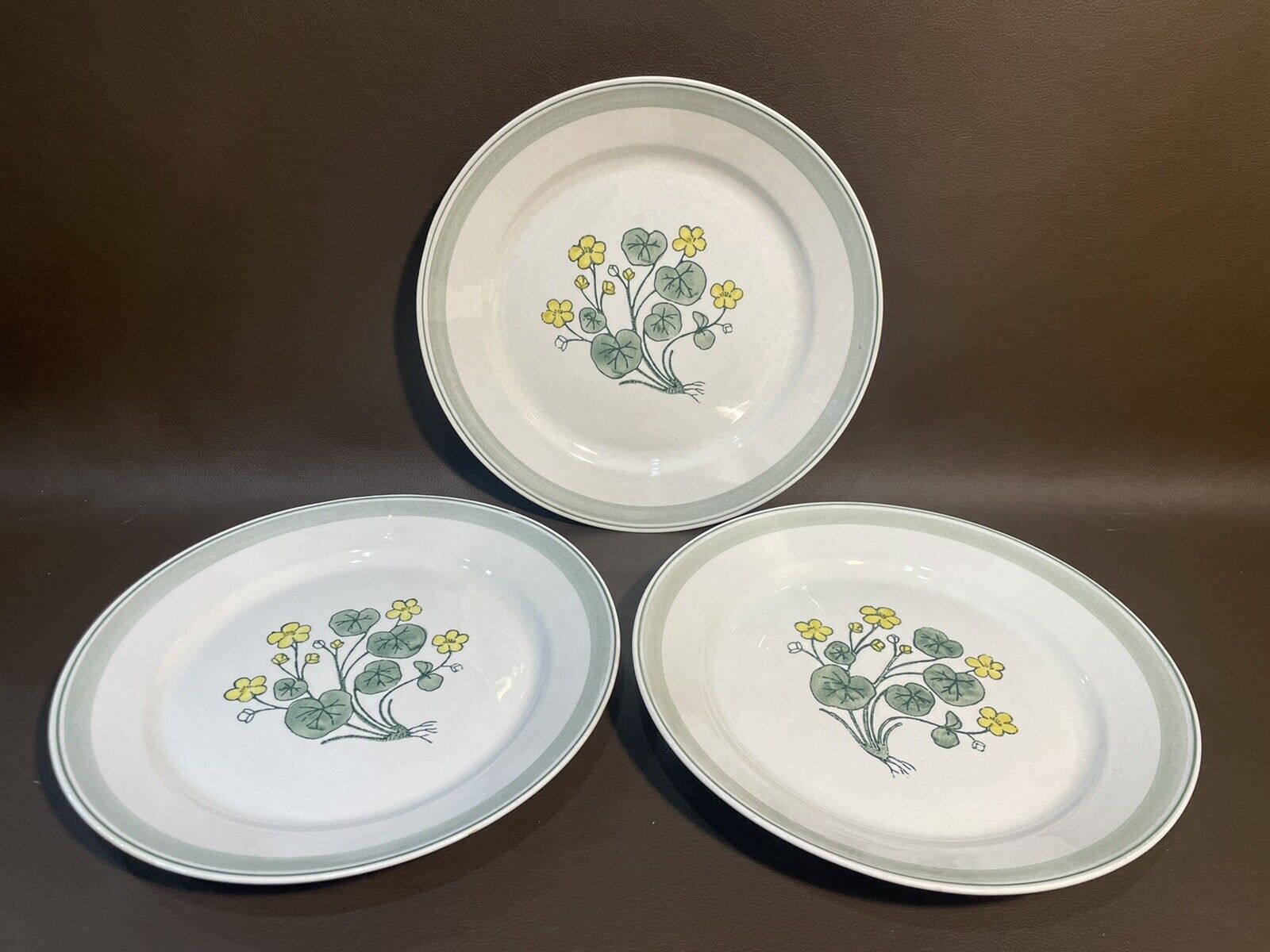 Read more about the article Vintage Arabia Handpainted Ceramic Floral Dinner Plates “Suvi” 10 1/4”