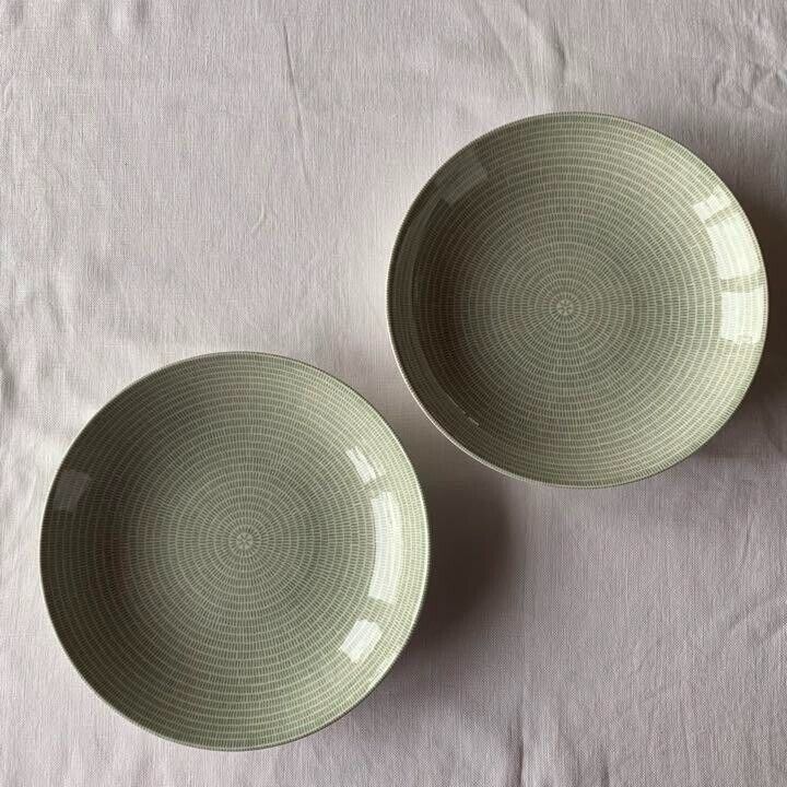 Read more about the article Arabia 24h Avec Pasta Plate 24cm Green Pair Set Vintage