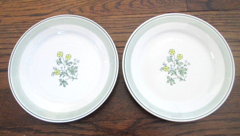 Read more about the article ARABIA Suvi set of 2 handpainted bread and butter plates. Finland. 6.5″