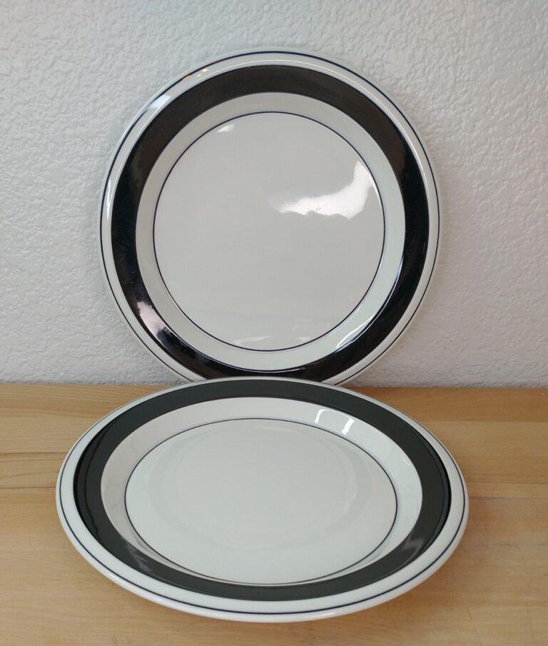 Read more about the article Lot of 2 Vintage Arabia Of Finland FAENZA BLACK 10-1/4” Dinner Plates