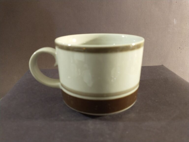 Read more about the article Arabia Pirtti Cup only NO SAUCER