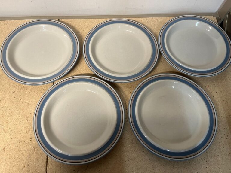 Read more about the article Arabia of Finland Uhtua by Inkeri Leivo Dinner Plates 10” Set Of 5 READ