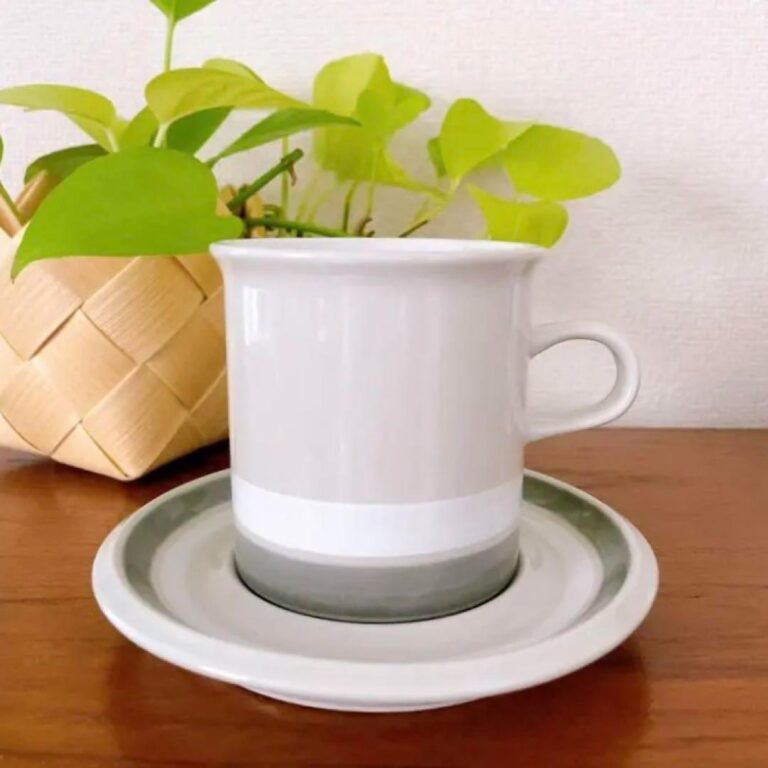 Read more about the article Arabia Salla Large Cup Saucer Nordic