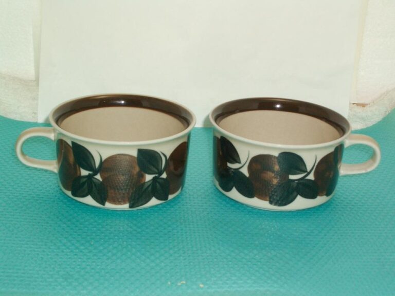 Read more about the article Arabia Finland Ruija Troubadour Set of 2 Flat Cups