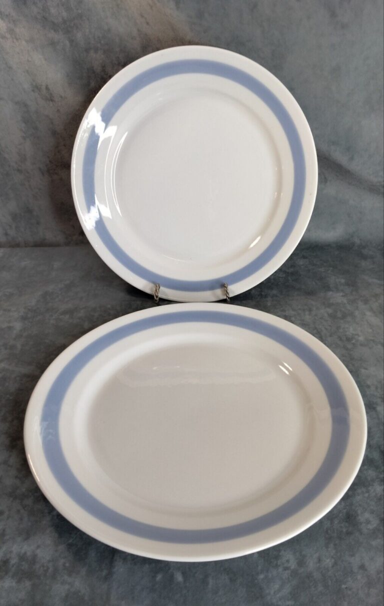 Read more about the article 2 Vintage Arabia of Finland 10 1/4-inch Blue Ribbons Ceramic Dinner Plates