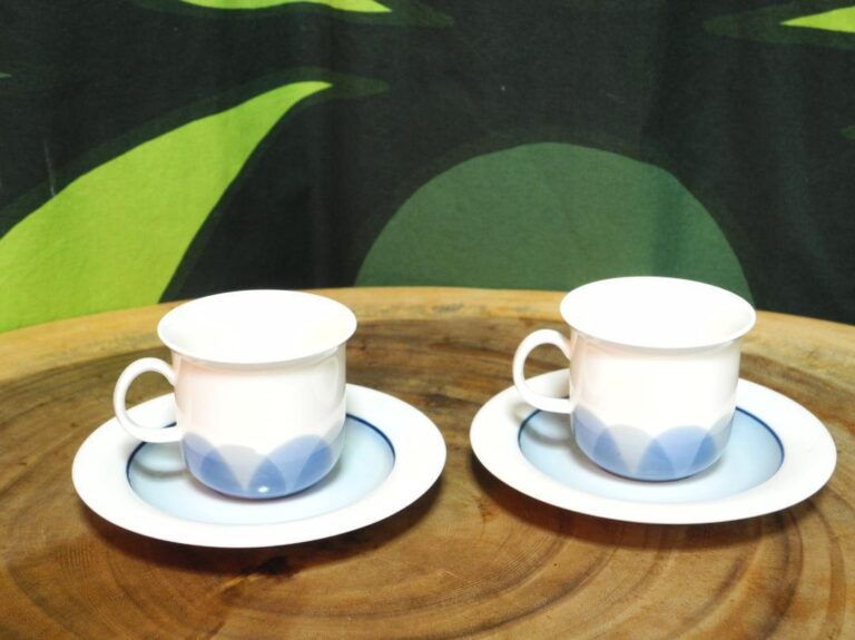 Read more about the article Arabia Pudas Arctica Cup Saucer Pair