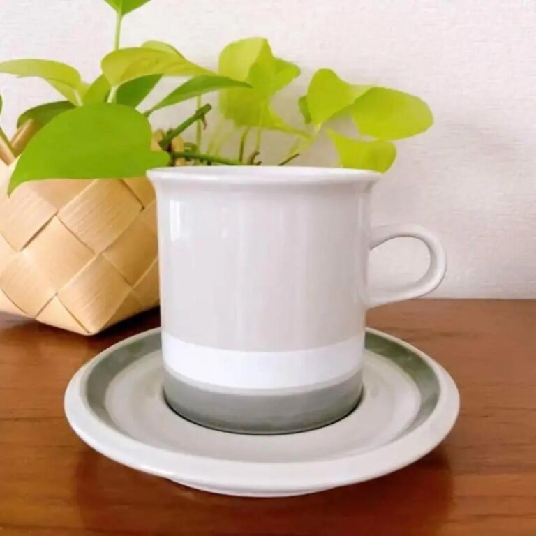 Read more about the article Arabia Salla 1 Large Cup Saucer Scandinavian