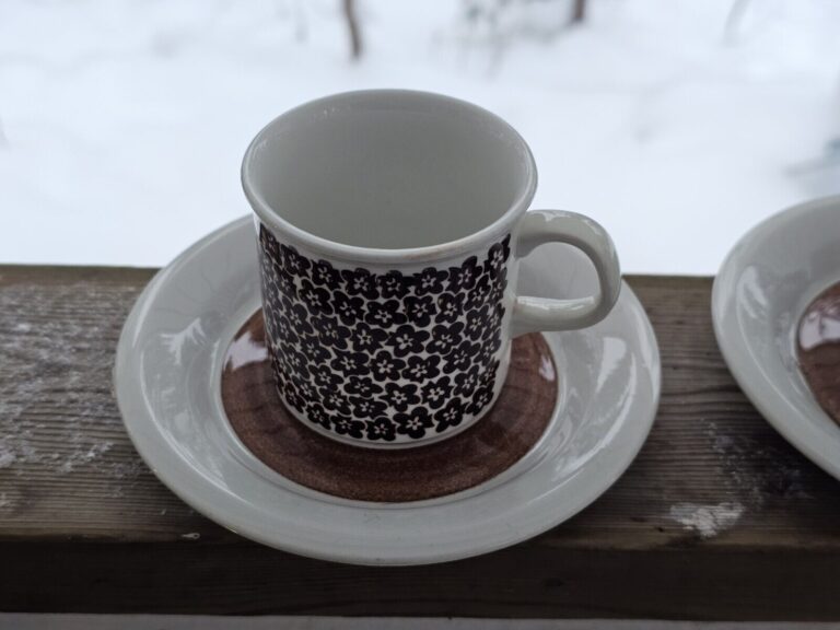 Read more about the article Arabia Finland 2 sets “Faenza” brown flower moccha coffee cup and plate