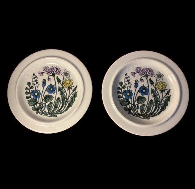 Read more about the article (2) Vintage ARABIA Finland “FLORA” Floral  Ceramic 8″ Plates