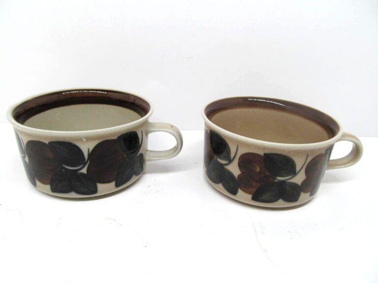 Read more about the article Arabia Finland Ruija Troubadour Flat Cups 4″ Bundle of 2