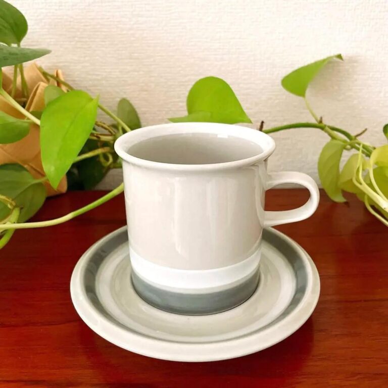 Read more about the article Arabia Salla 3 Large Cup Saucer Scandinavian