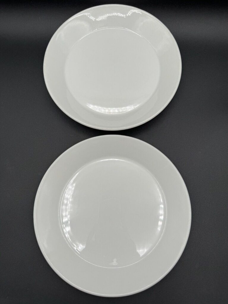 Read more about the article Set of 2 Vintage Arabia of Finland Teema Off-White Salad Plates 7 5/8″