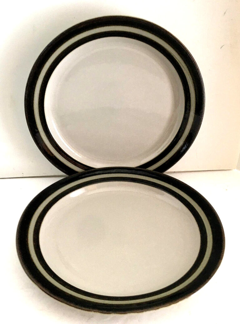 Read more about the article Arabia Finland Karelia Set of 2 Salad Plates Brown Bands on Gray 8″ GUC