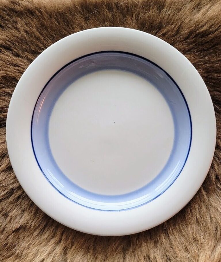Read more about the article ARABIA of Finland PUDAS ARCTICA  8″ Salad Plate Beautiful Never Used 7 Available
