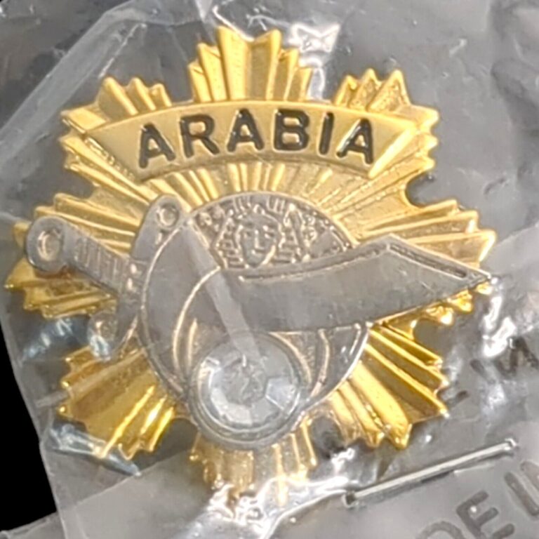 Read more about the article Shriners Arabia Temple Sword Rhinestone Lapel Hat Pin Parade Gold Tone NOS