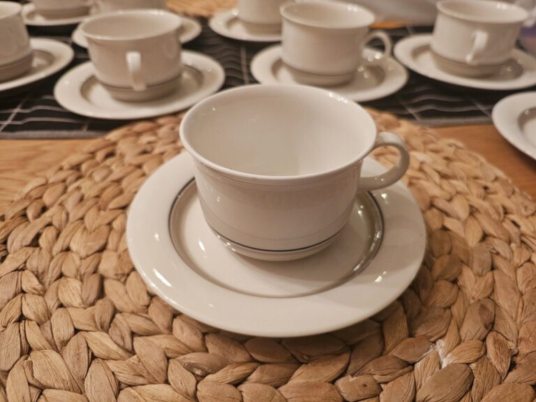 Read more about the article Arabia of Finland Seita Arctica Flat Cup and Saucer 6 oz
