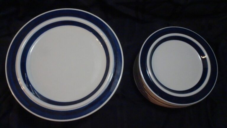 Read more about the article ARABIA ANEMONE (8) DINNER and (8) SALAD PLATES 16 PC LOT SUPERB CONDITION