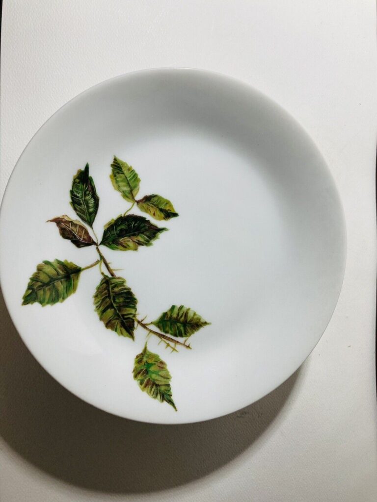 Read more about the article Vintage Arabia Rose Salad Plates Set of 5 Made In Finland 7”
