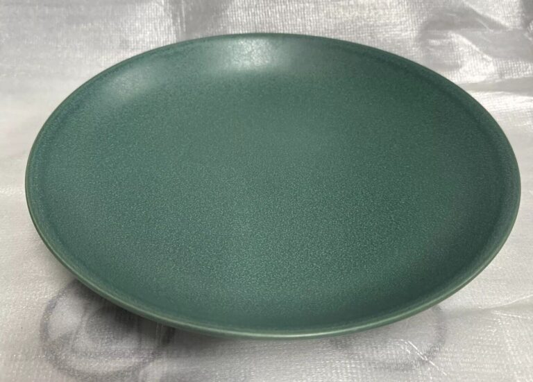Read more about the article Arabia Finland 24h Green – Pasta Plate **NEW**