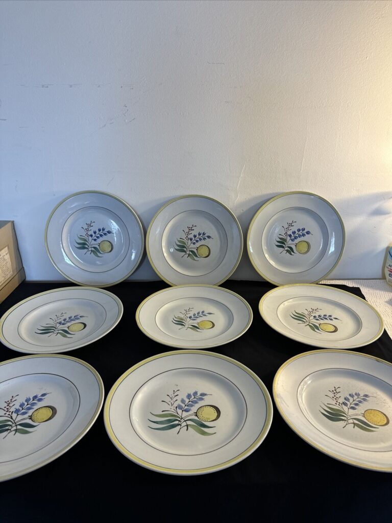 Read more about the article Arabia Finland Windflower Dinner Plates – 9