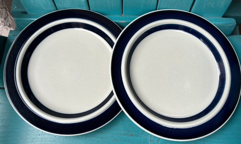 Read more about the article finland ARABIA SET-OF-2 X 10 1/4″ ANEMONE DINNER PLATES cobalt blue bands