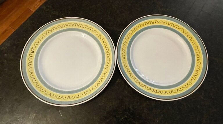 Read more about the article Arabia of Finland Crown Band Dinner Plates~ 13420~ Set Of 2~ Hand Painted