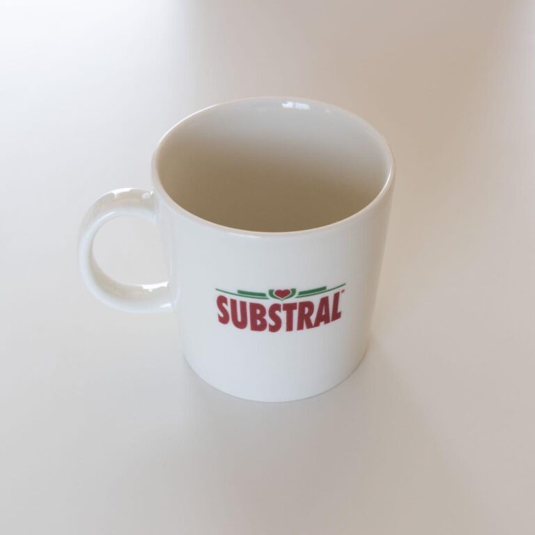Read more about the article Arabia Teema Corporate Logo Mug from japan