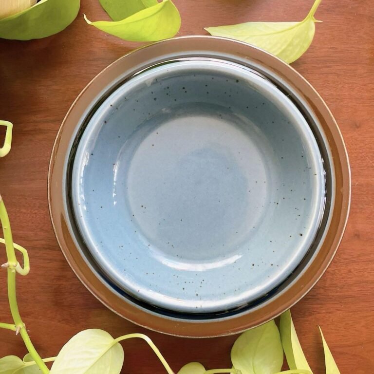 Read more about the article Rare Arabia Meri Soup Plate Bowl Scandinavian Tableware Vintage