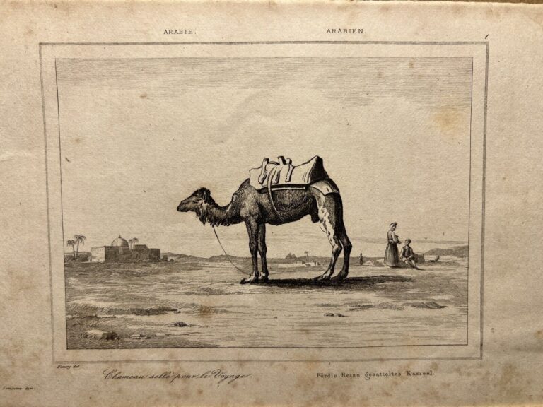 Read more about the article ANTIQUE ILLUSTRATION 1847 CAMEL DESERT PALM TREES MECCA MEDINA PASHA ARABIE…
