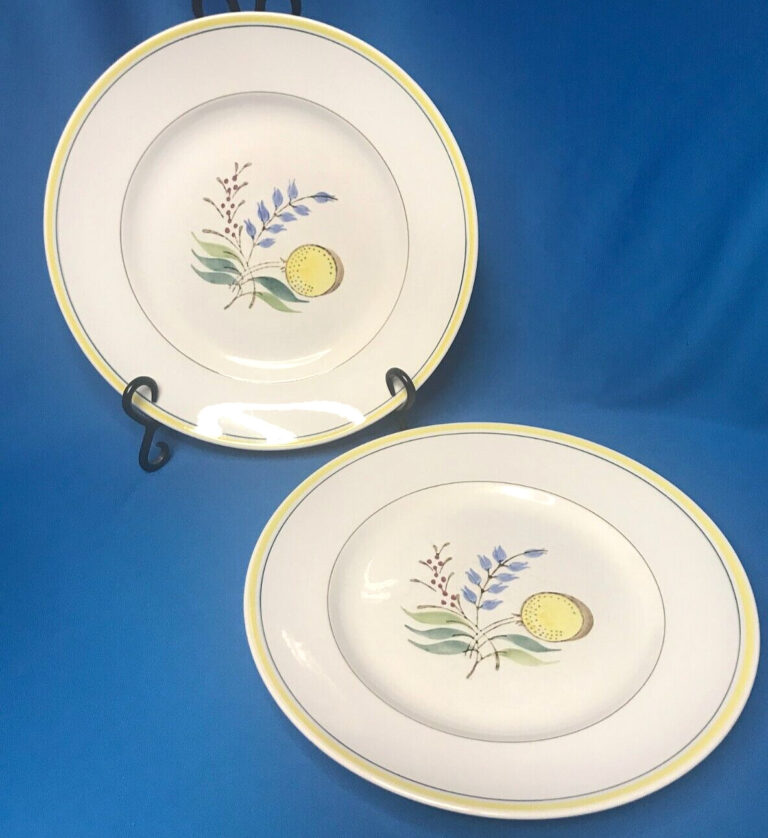 Read more about the article Vintage Arabia Finland Windflower Dinner Plates 10.5″ – Set Of 2