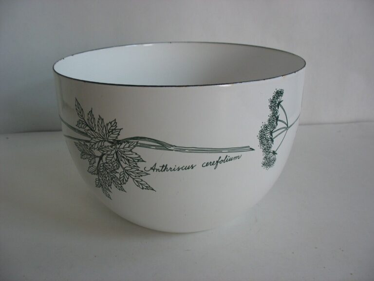 Read more about the article 8 ” LG Finel ARABIA Kaj Franck Finland Enamel Bowl Anthriscus Cerefolium Chervil