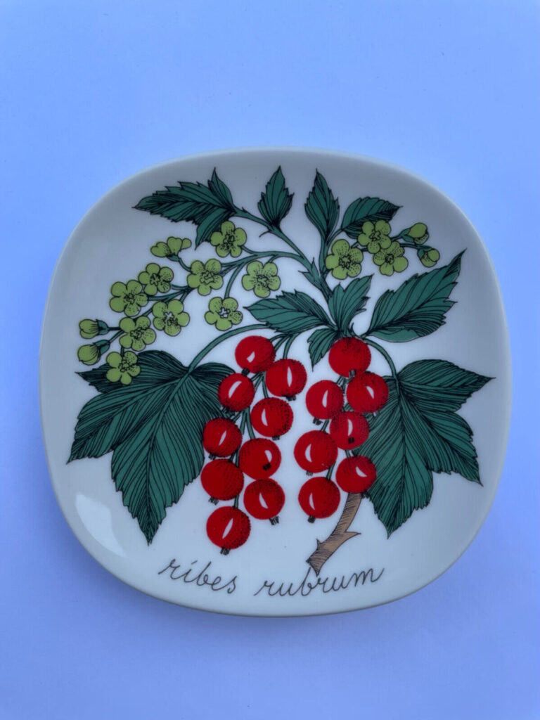 Read more about the article Arabia Finland Rare Esteri Tomula Botanical Plates  Ribes rubrum  12 cm