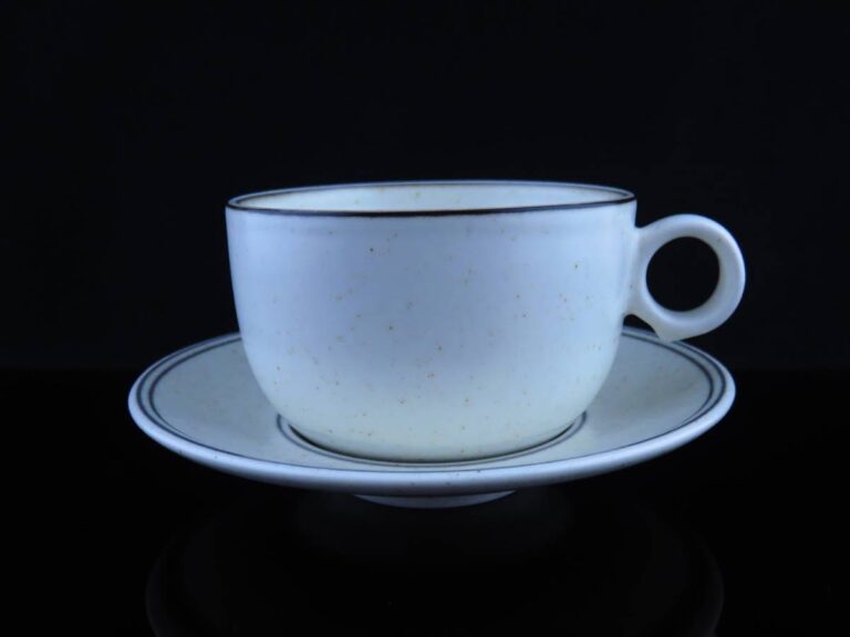 Read more about the article Arabia Birka Tea CupandSaucer Stig Lindberg