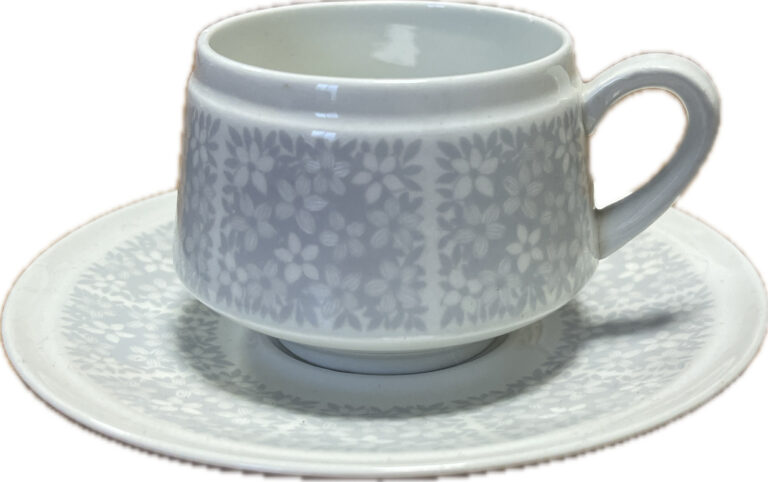 Read more about the article Arabia Finland Pitsi Coffee Cup and Saucer Raija uosikkinen Richard Lindh Made IN