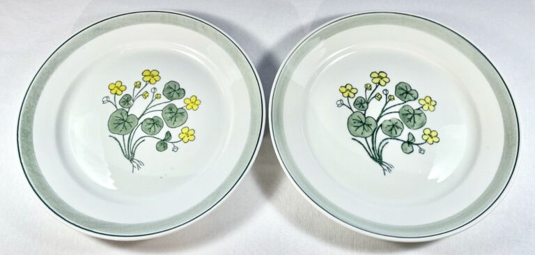 Read more about the article 2 Pcs ARABIA of Finland SUVI Pattern DINNER PLATES  10-1/8″  Vtg Mid-Century VG