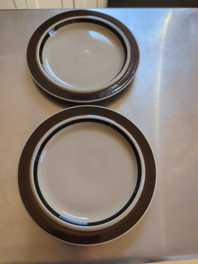 Read more about the article Arabia Finland Ruija Troubadour * 2 DINNER PLATES * 10 1/8″   Brown Bands  EXC!