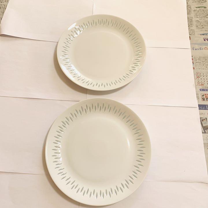 Read more about the article Arabia Rice Dinner Plate Set Of 2