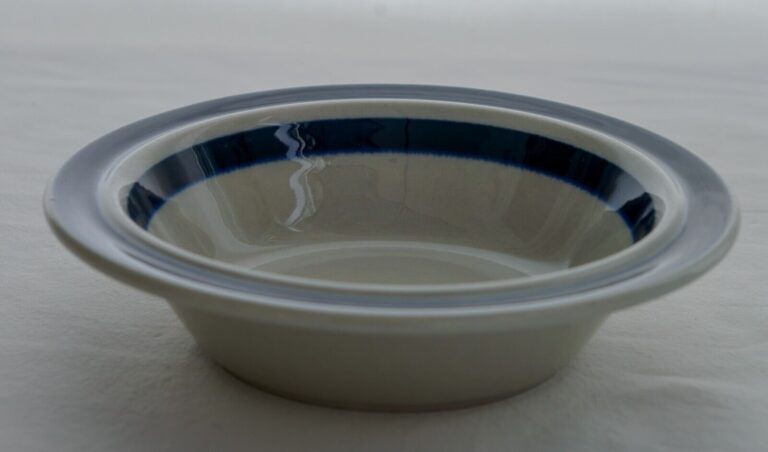 Read more about the article ARABIA FINLAND Anemone Blue Rim Cereal/Soup Bowl by Ulla Procope Handpainted VTG