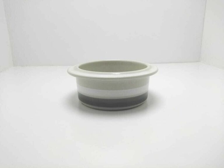 Read more about the article ARABIA Finland dinnerware~Salla pattern individual casserole~Diameter 5″