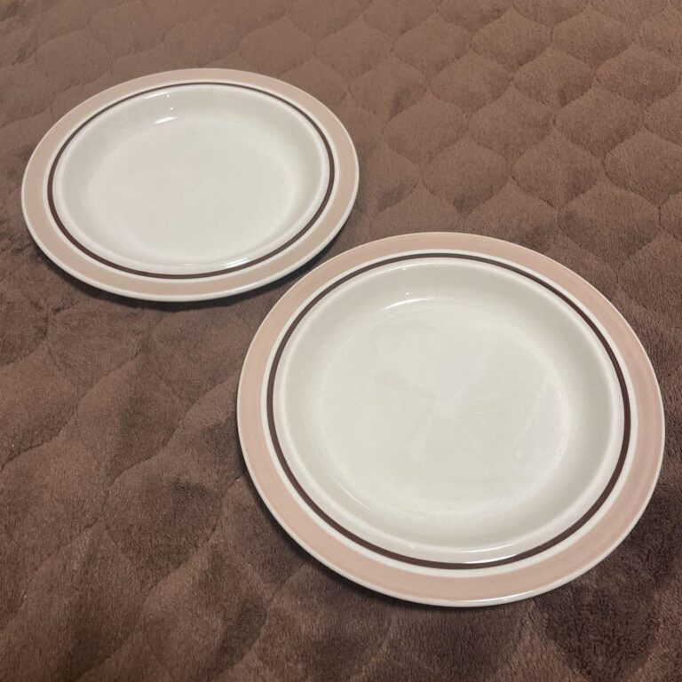 Read more about the article Arabia Koralli 17Cm Plate Set Of 2