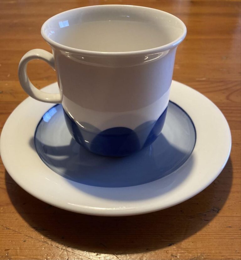 Read more about the article Arabia Nordic Finland Cup Saucer 1 Guest Arctica Pdas