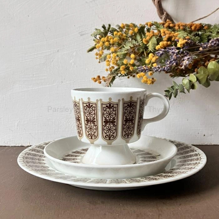 Read more about the article [USED] ARABIA Rukinlapa Trio Cup and Saucer and Plate Arabia Rukinlapa C/S Finland