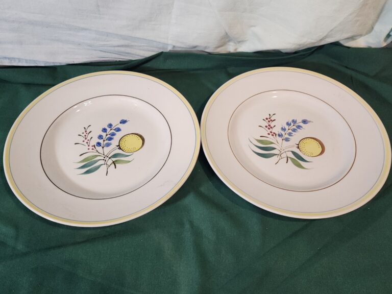 Read more about the article Arabia of Finland  Windflower Dinner Plates  Set of 2 Nice!