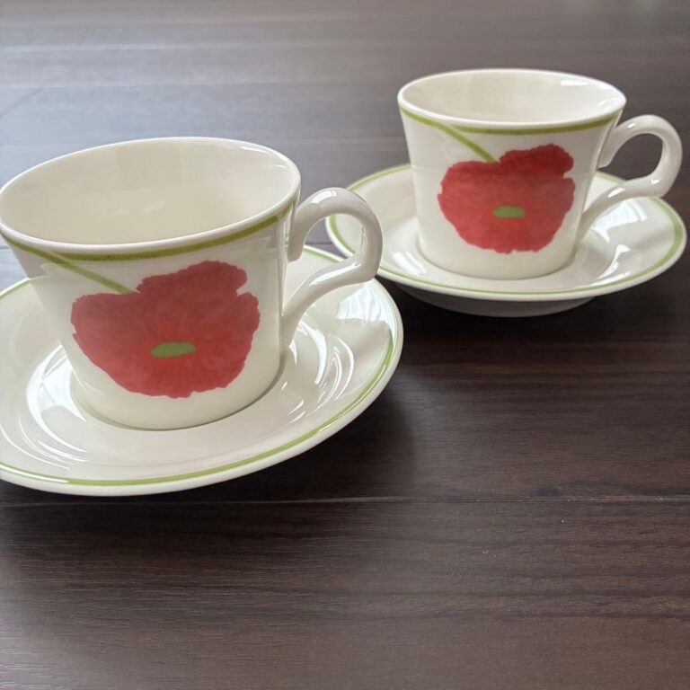 Read more about the article ARABIA illusia cup and saucer 2 customers